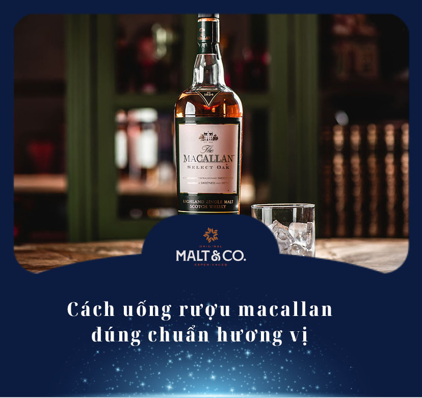 Cách uống rượu macallan đúng chuẩn hương vị 