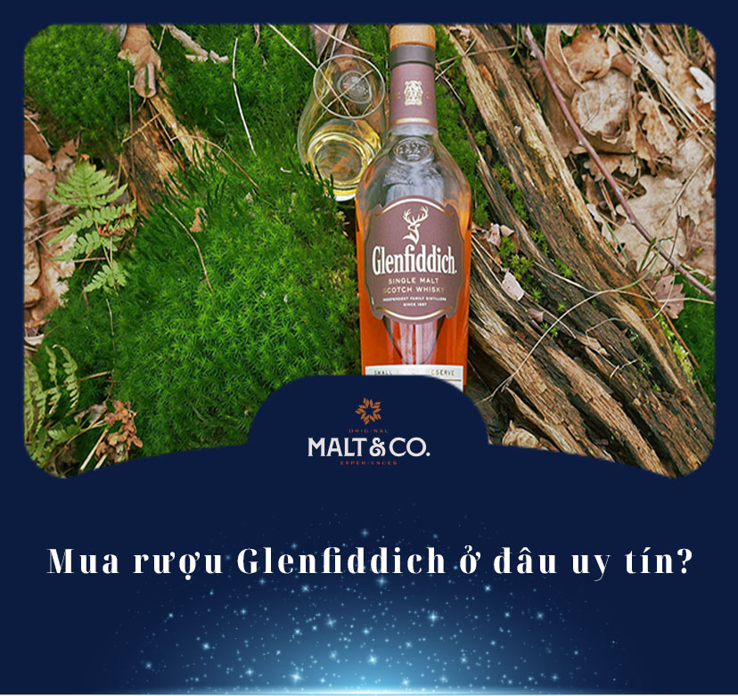 Mua rượu Glenfiddich ở đâu uy tín?